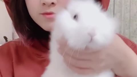 Super Cute Rabbit Dancing With "Dancing in my room"