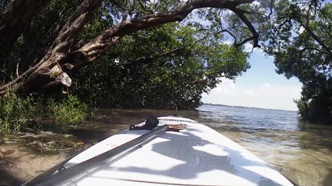 Kelly's Paddleboarding Adventures Goes to Blind Pass Beach