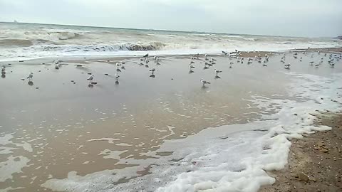 Enjoy the sea in February