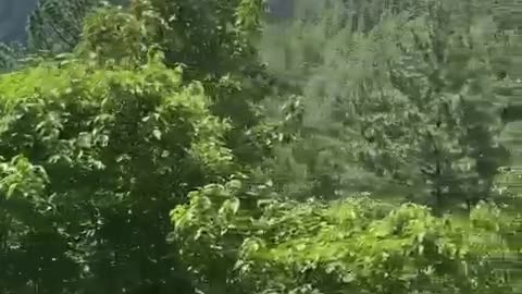 A breathtaking view of the lush green valleys of Nathia Gali, KPK, Pakistan