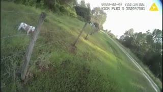 POLICE BODY CAM: Search Party Finds Lost Child