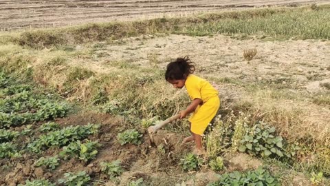 A Day in the Life of Village Girls India | Village Lifestyle | Daily Routine Village Life of India