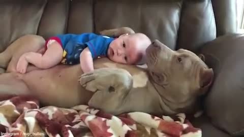 Child sleeping with dog | Duerme baby with bulldog