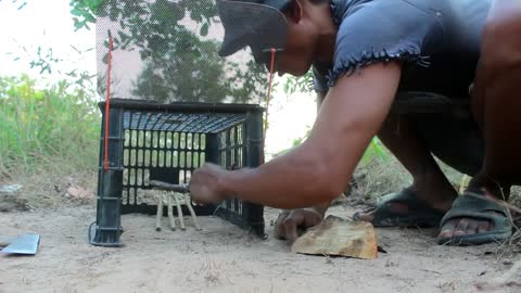 Installing Simple Wild Cat Trap Using Plastic Basket