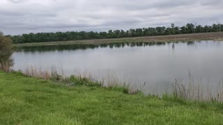 05-18-2021 Peaceful small pond with wildlife sounds