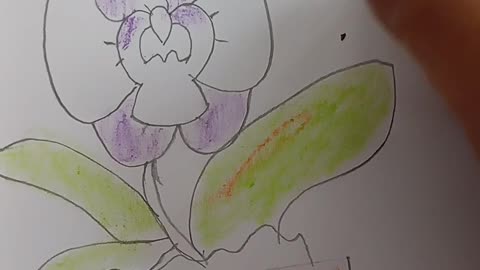 How to draw cute Orchid flower
