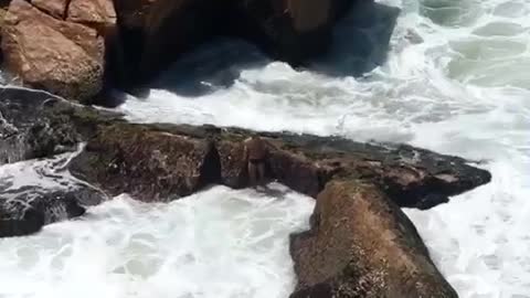 Man Hides Behind Rocks as Waves Come