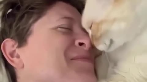 The Cat has a lot of love for its owner, look how beautiful!