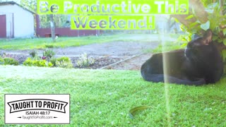 Be Productive This Weekend (AND EVERY WEEKEND FROM THIS DAY FORWARD)!