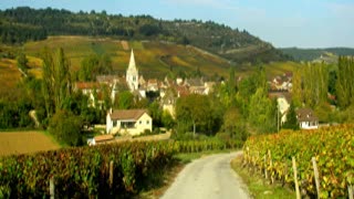 Food and Wine Pairing in Burgundy