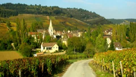 Food and Wine Pairing in Burgundy