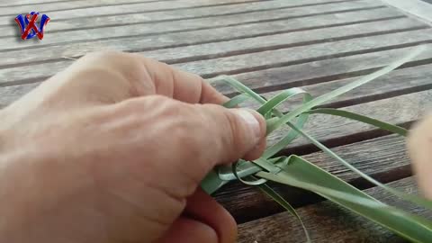 Realiser un colibri avec des feuilles de cocotier
