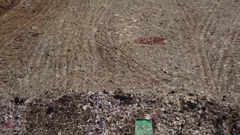 Drone discovers the reason of the invasion of seagulls