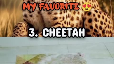 Top 10 fastest animals according to chatGPT