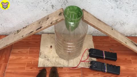 Electric Rat Trap with Double Tasers