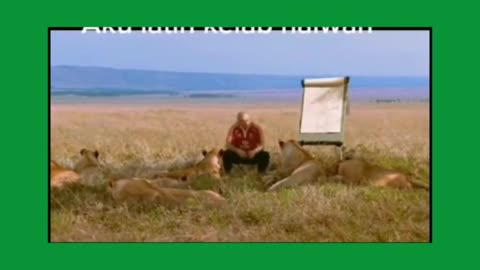 Funny TV Commercial Teaching Lions to Listen