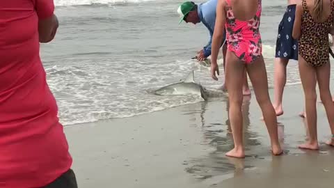 Surf fishing