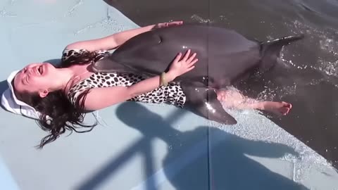 This Is Why Sharks Are Afraid of Dolphins