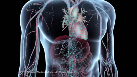 How Medications Get Absorbed By Your Body