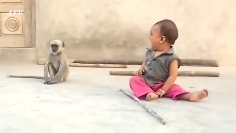 Baby Money Playing Funny With Small Kid! Funny Animal Video