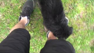 German Shepard Puppy Dad Bonding/Training