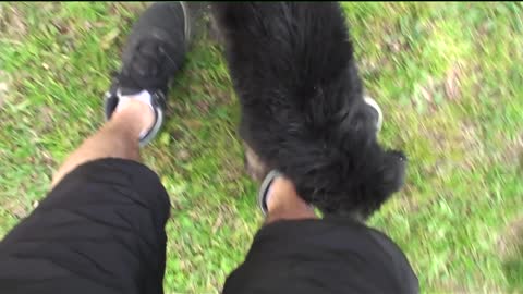 German Shepard Puppy Dad Bonding/Training