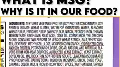 MSG Is Neurotoxic? Why is it IN our Food?