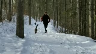 Jogger takes cat on leash out for snowy run