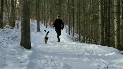 Jogger takes cat on leash out for snowy run