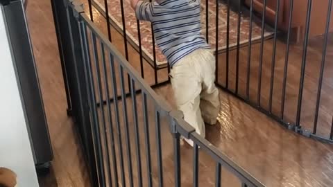 -Baby Gate Can't Hold Back Determined Baby