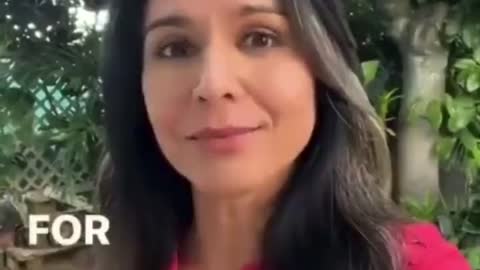 Tulsi Gabbard Offers an Alternative Perspective on the Russia/Ukraine Conflict