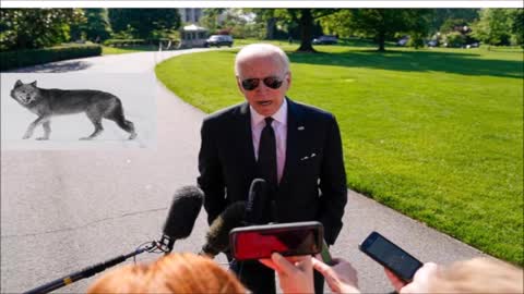 Biden Says Turn In Your 9MM