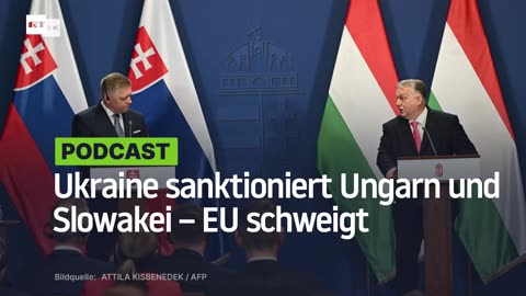 Ukraine sanktioniert Ungarn und Slowakei – EU schweigt