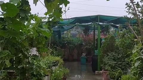 First heavy Rain after heat wave