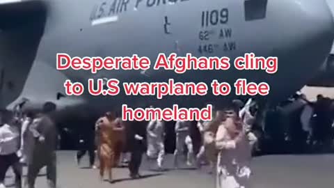 Desperate Afghans cling to US warplane to fleer homeland