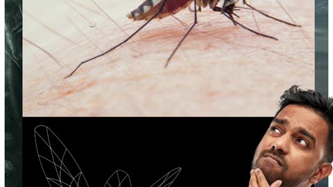 O QUE É ISSO? Mosquitos com número de série?