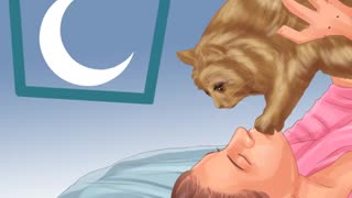HOW TO: Get Your Cat to Sleep With You
