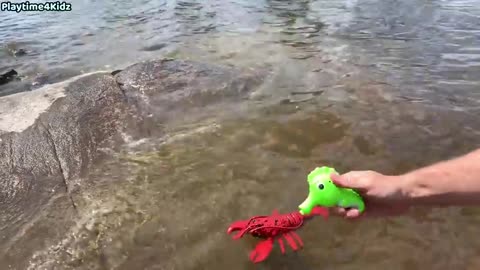 Sea Animal Toys This Summer at the Shore