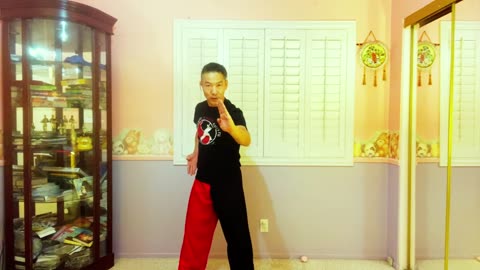 Learning Kung Fu At Home - Lesson 1 , step by step