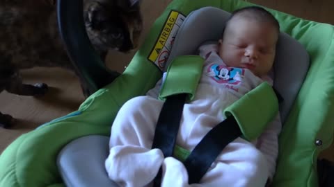 Cute Cats Meeting Babies for the VERY FIRST Time [2021] Compilation