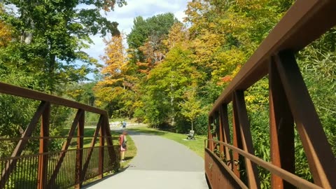 A lovely, Colorful walk in Wilcket Creek Park ,Toronto. Oct/01/2023.