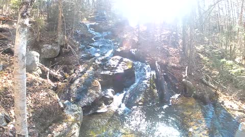 UpNorth [Just Nature] River in the Woods