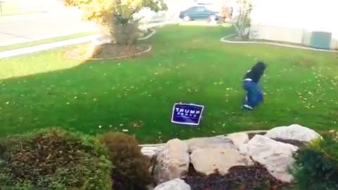 NEVER MESS WITH TRUMP YARD SIGNS!!!🤣🤣🤣