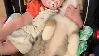 Baby and Puppy Become Good Friends