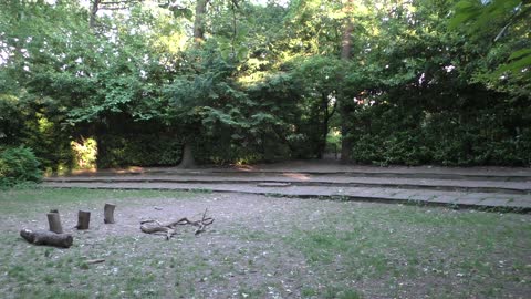 Theatre in The forest / Teatr w lesie