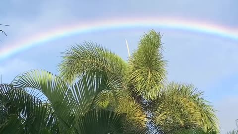Awesome Rainbow this morning on Maui. Happy Thanksgiving to all 🌈