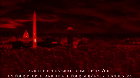Dark Maga - And the Frogs shall come