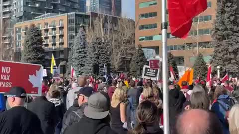 Live - Calgary protests