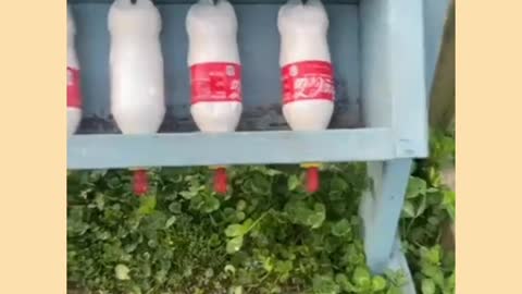 Great creative ideas of farmer