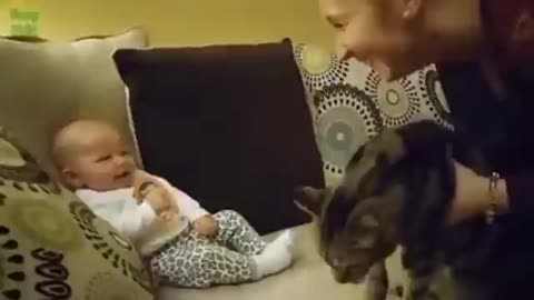 Funny Babies Laughing Hysterically at Cats Compilation1221